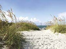 Picture of Folly Beach 
