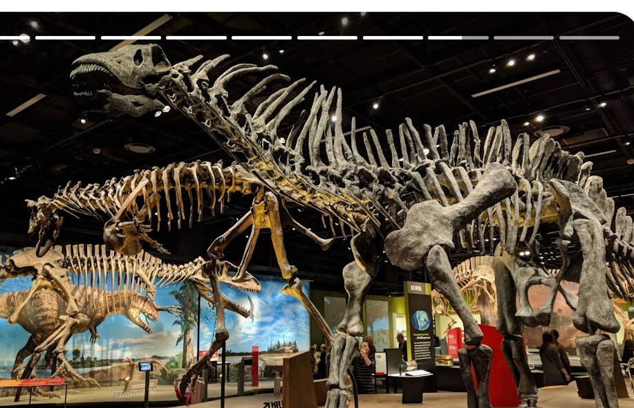 Picture of Natural History Museum