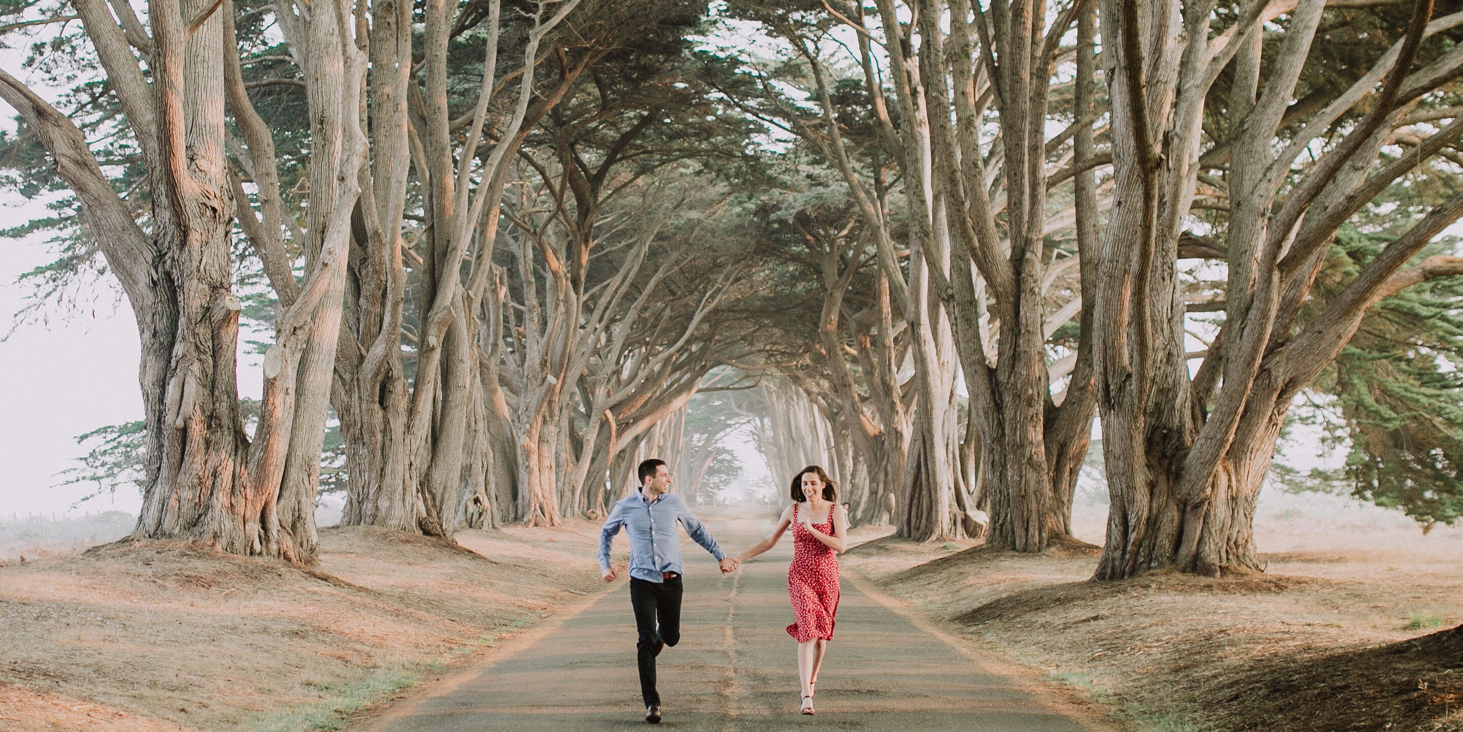 Ryan & Priscilla Home Page Banner