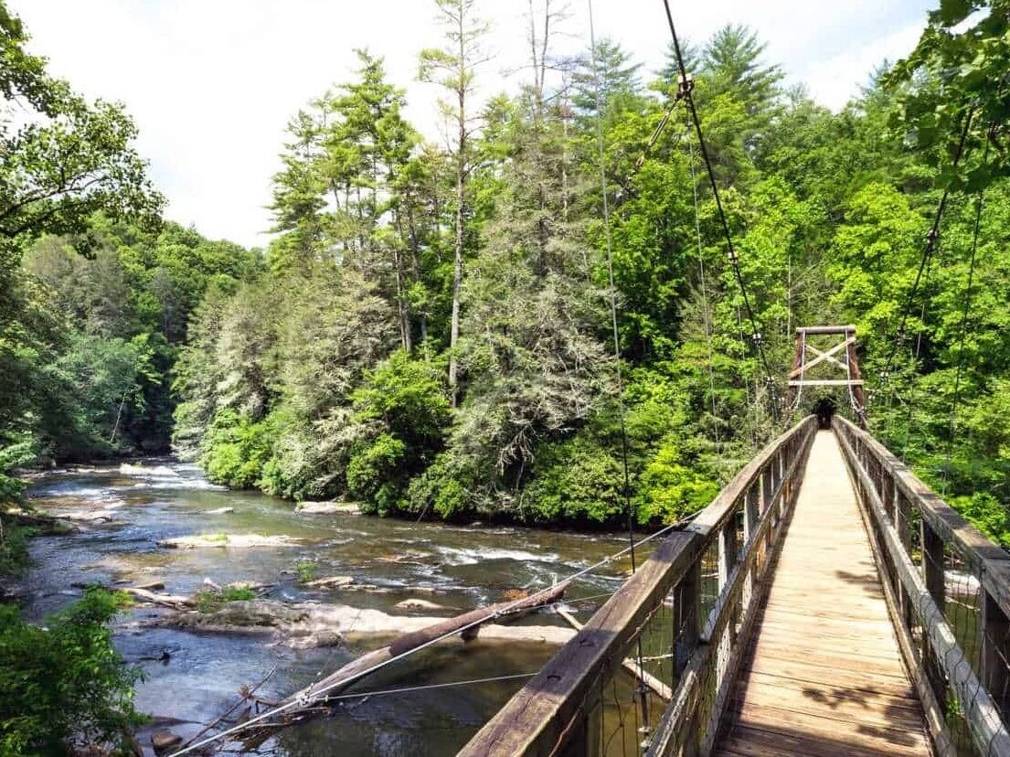 Picture of Swinging Bridge on the Toccoa River