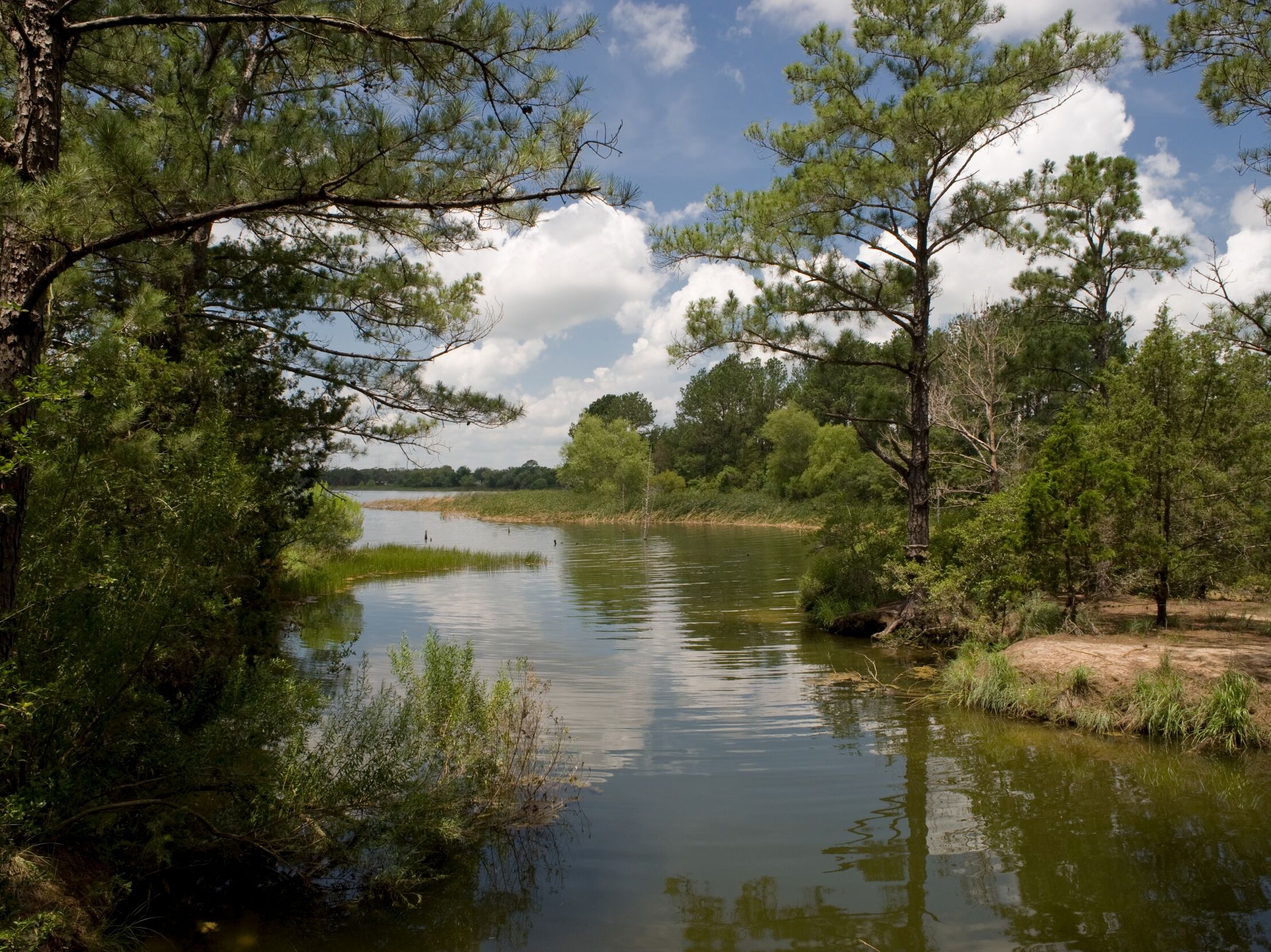 Picture of Bastrop State Park
