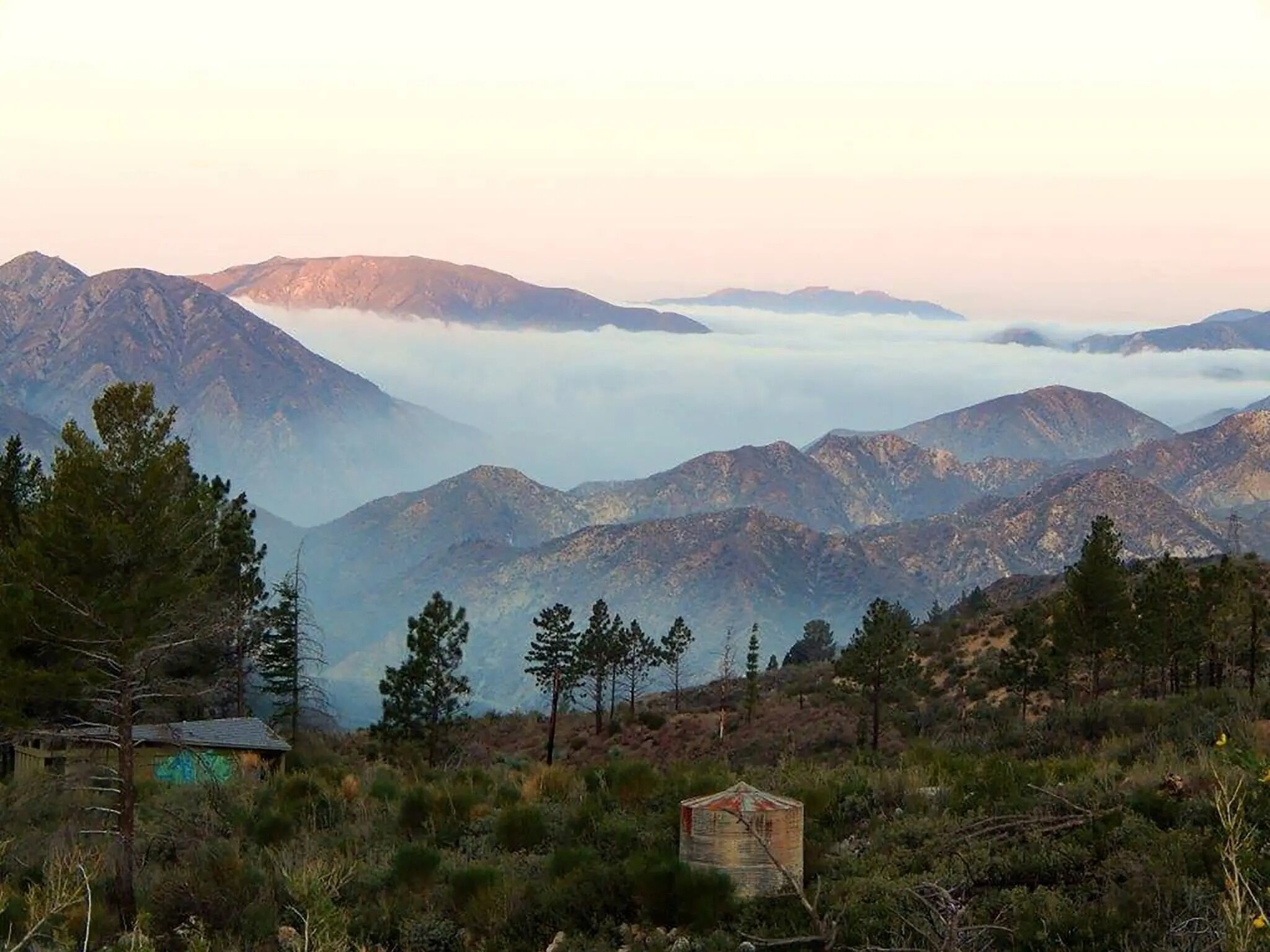 Picture of Angeles National Forest