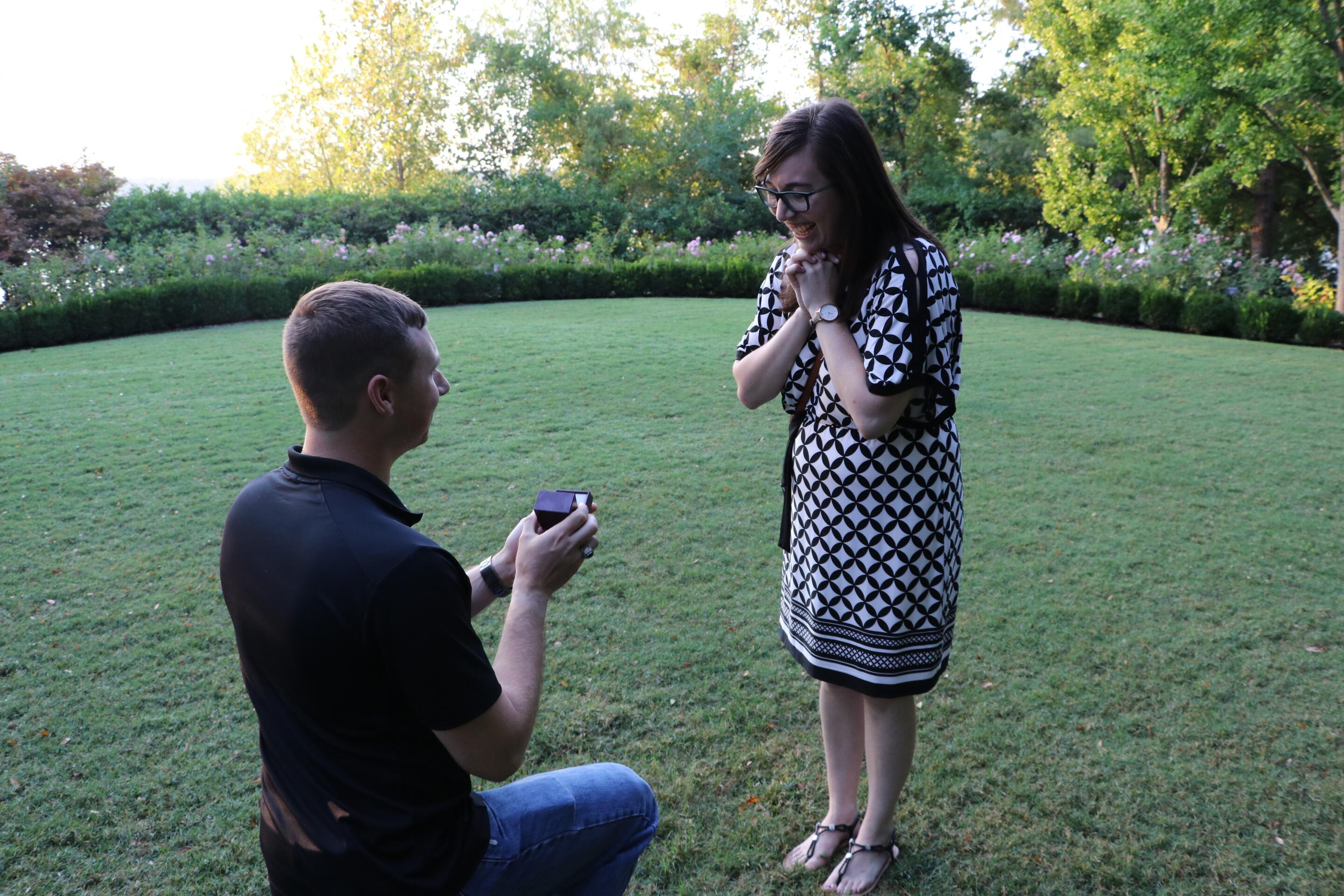 Picture of The Proposal