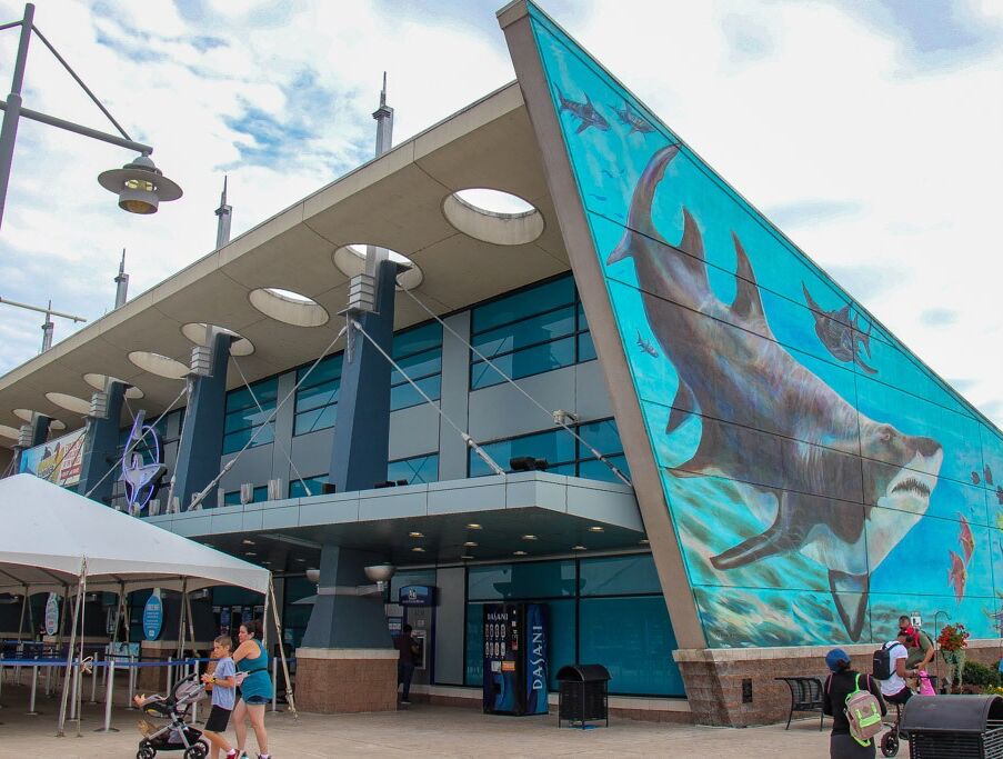 Picture of Newport Aquariam