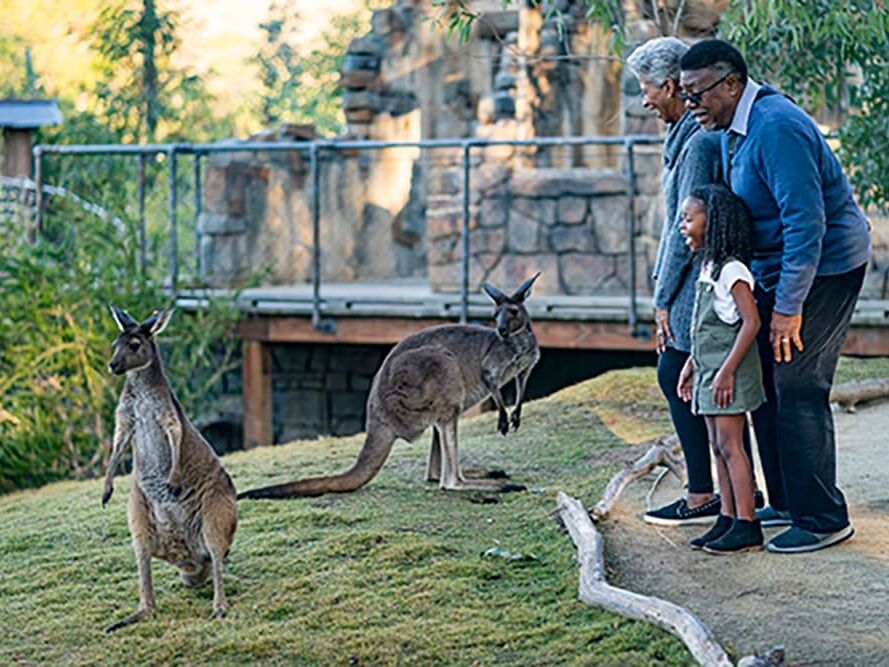 Picture of San Diego Zoo Safari Park