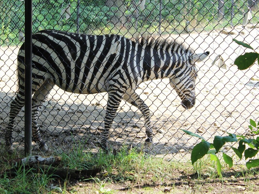 Picture of Erie Zoo