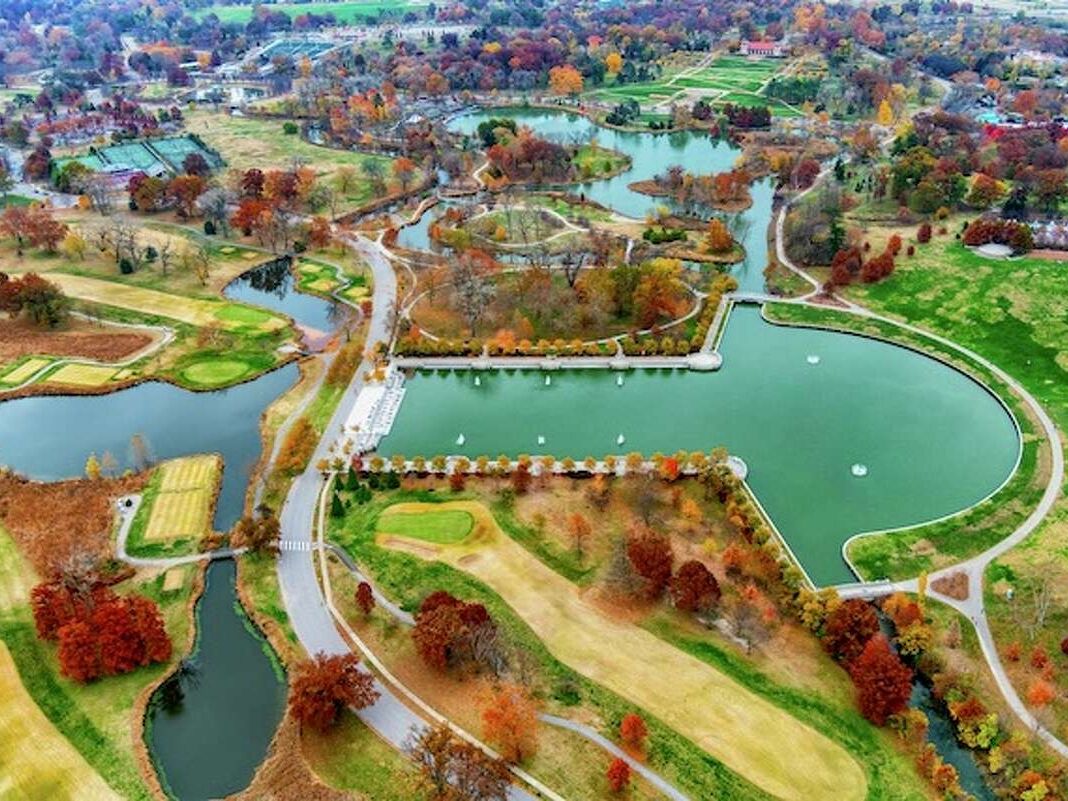 Picture of Forest Park
