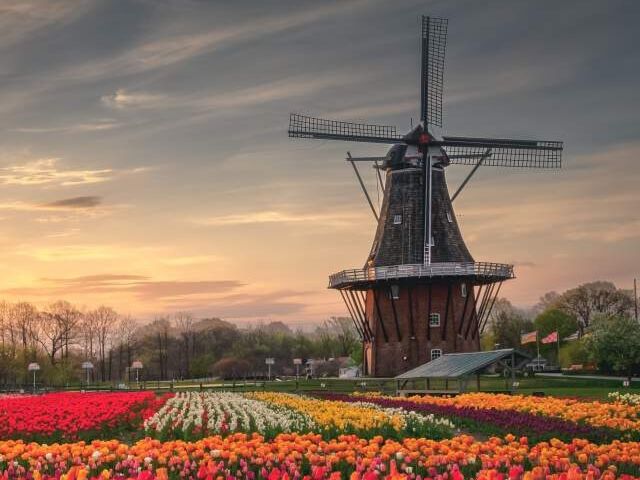 Picture of Experience Holland