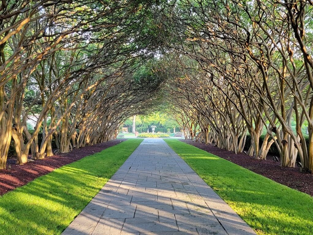 Picture of The Dallas Arboretum and Botanical Garden