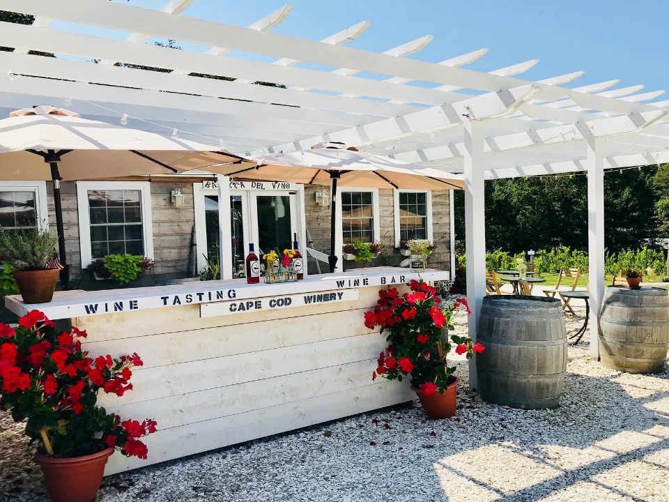 Picture of Cape Cod Winery