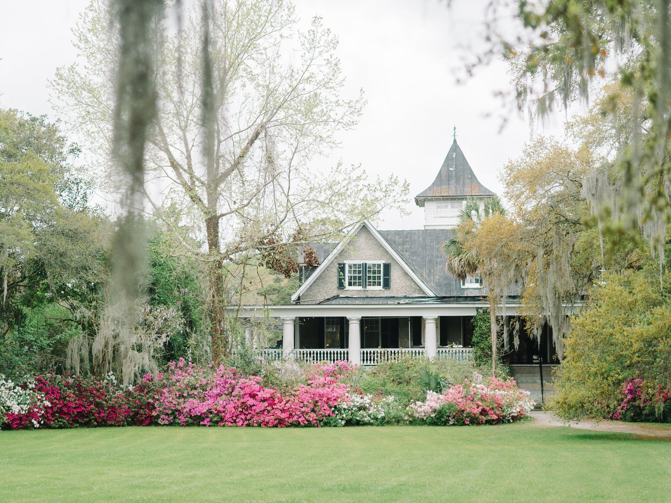 Picture of Magnolia Plantation and Gardens