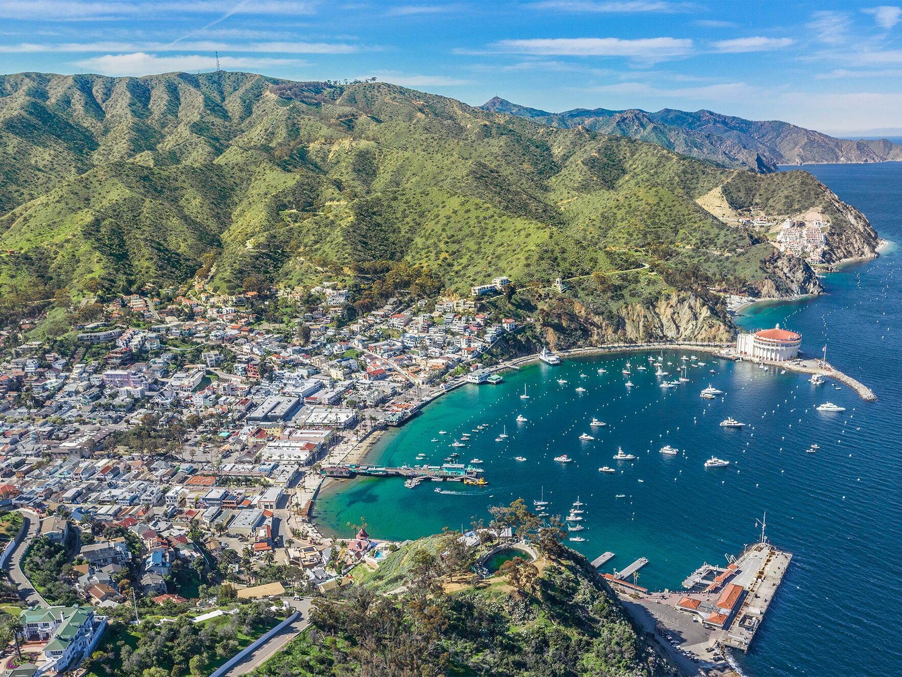 Picture of Catalina Express