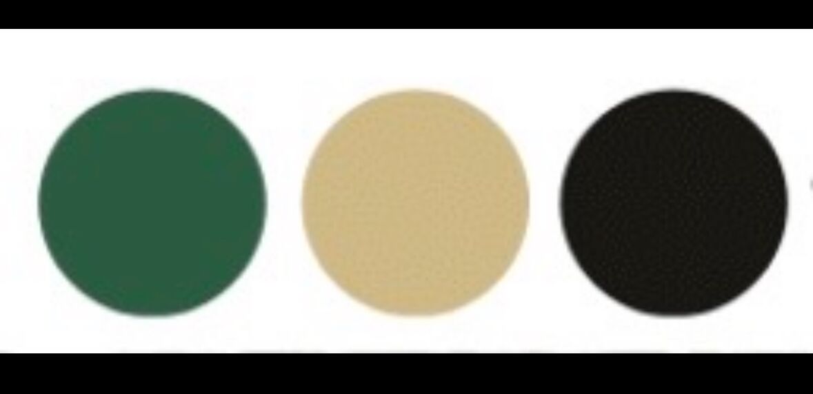 Picture of Wedding Colors & Dress Code