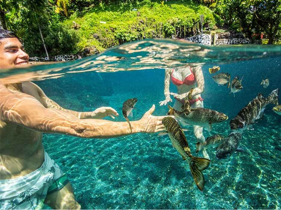 Picture of Piula Cave Pool