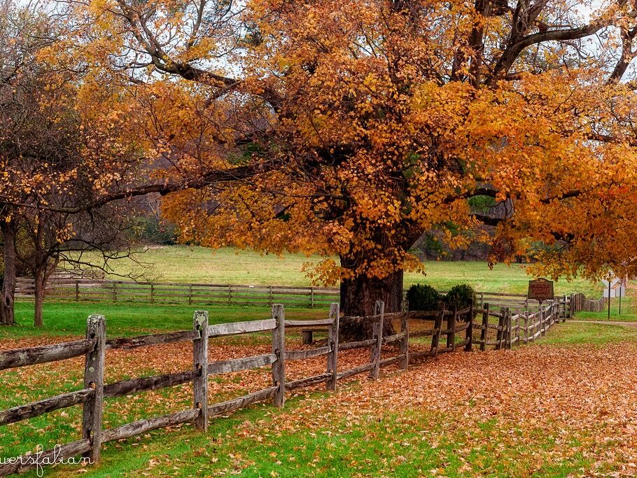 Picture of Hale Farm & Village