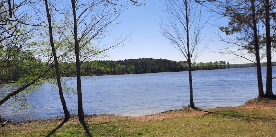 Picture of Dreher Island State Park