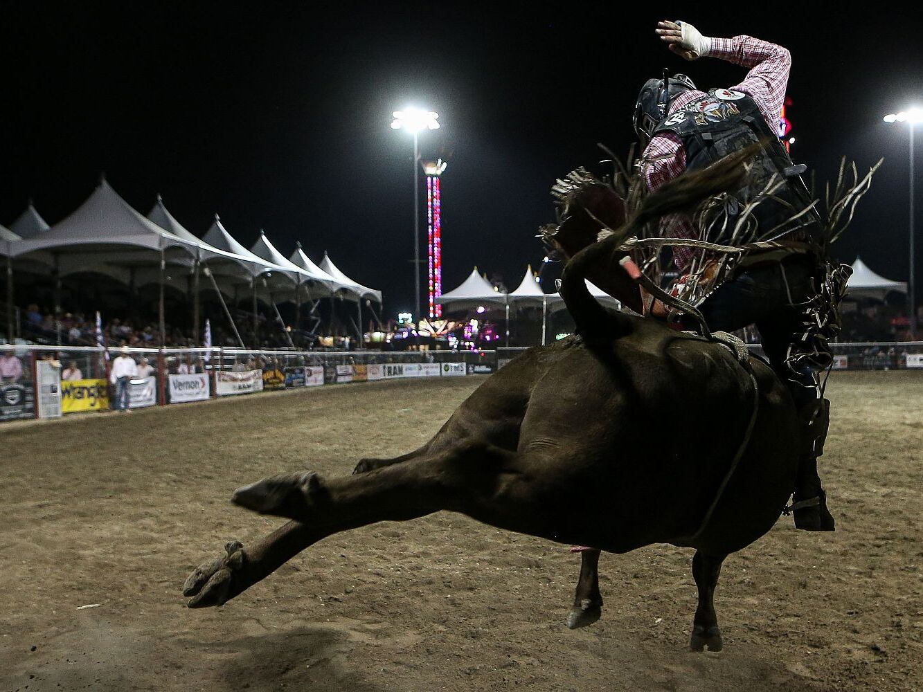 Picture of Armstrong Fair (IPE)