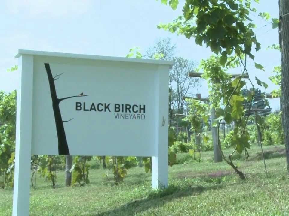 Picture of Black Birch Vineyard