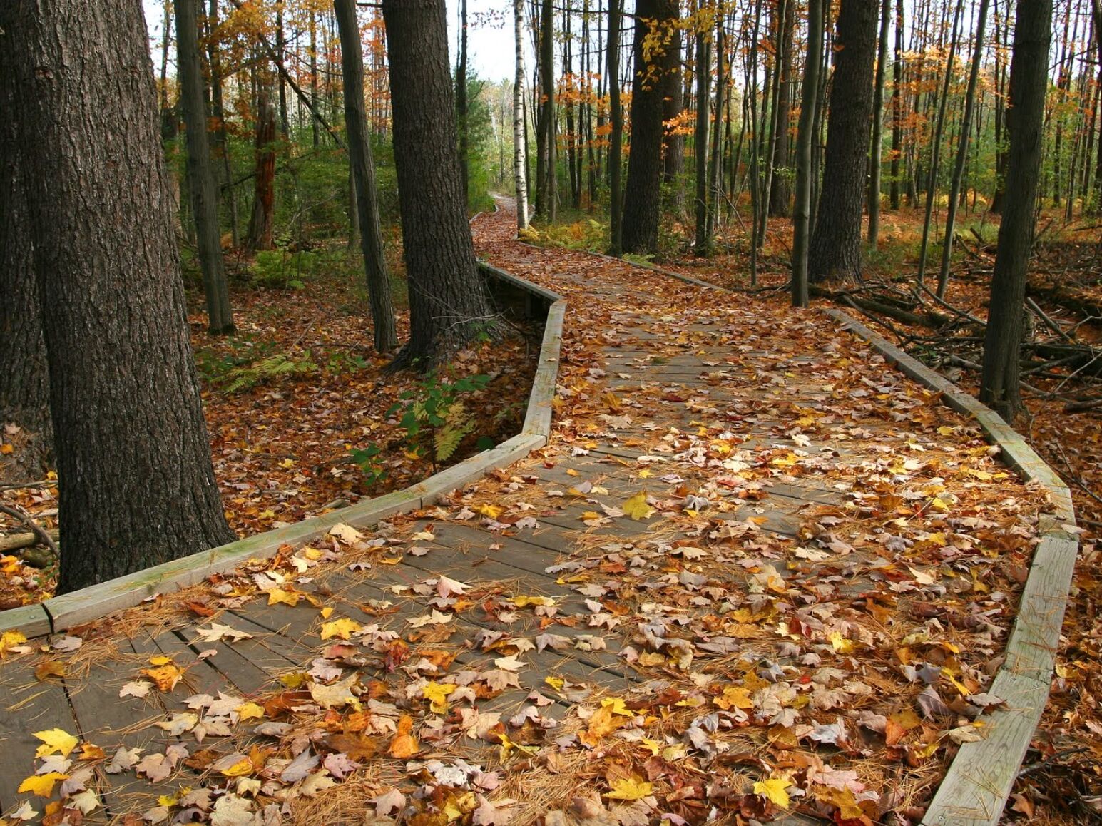 Picture of Green Circle Trailhead