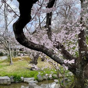 Gallery Photo 16