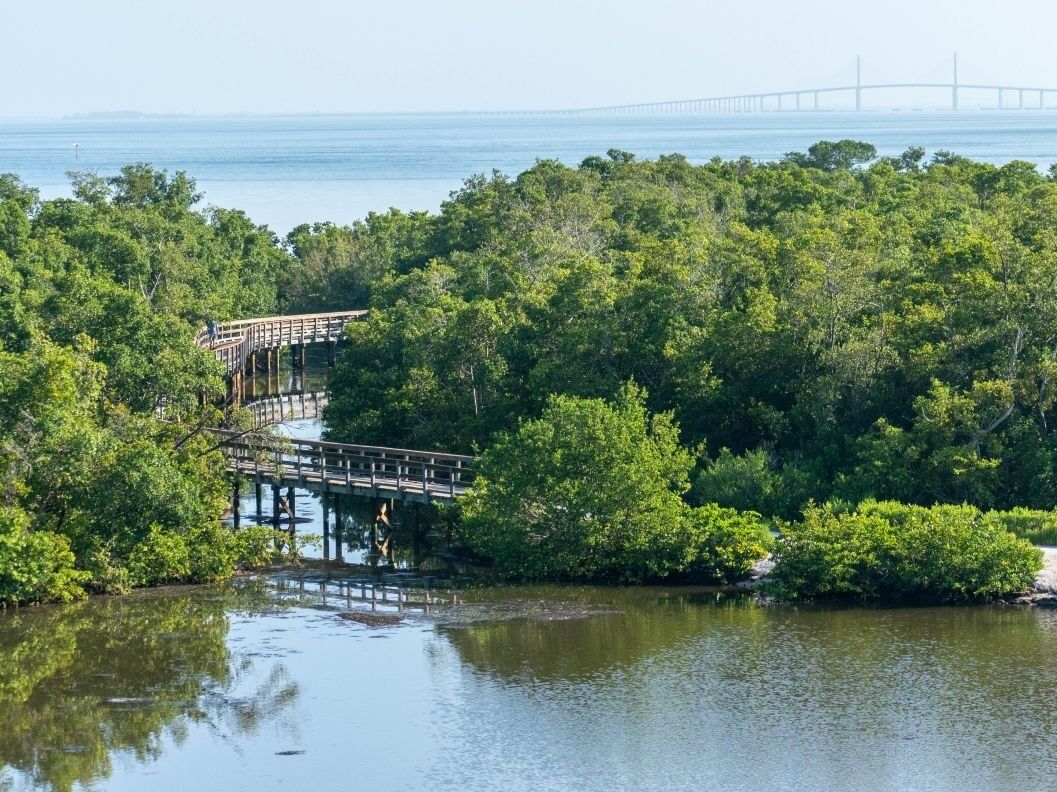 Picture of Robinson Preserve