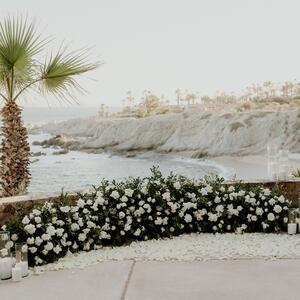 Gallery Photo 1
