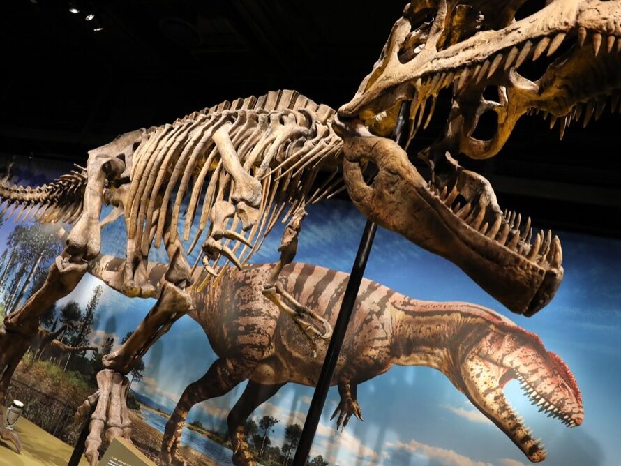 Picture of Denver Museum of Nature & Science
