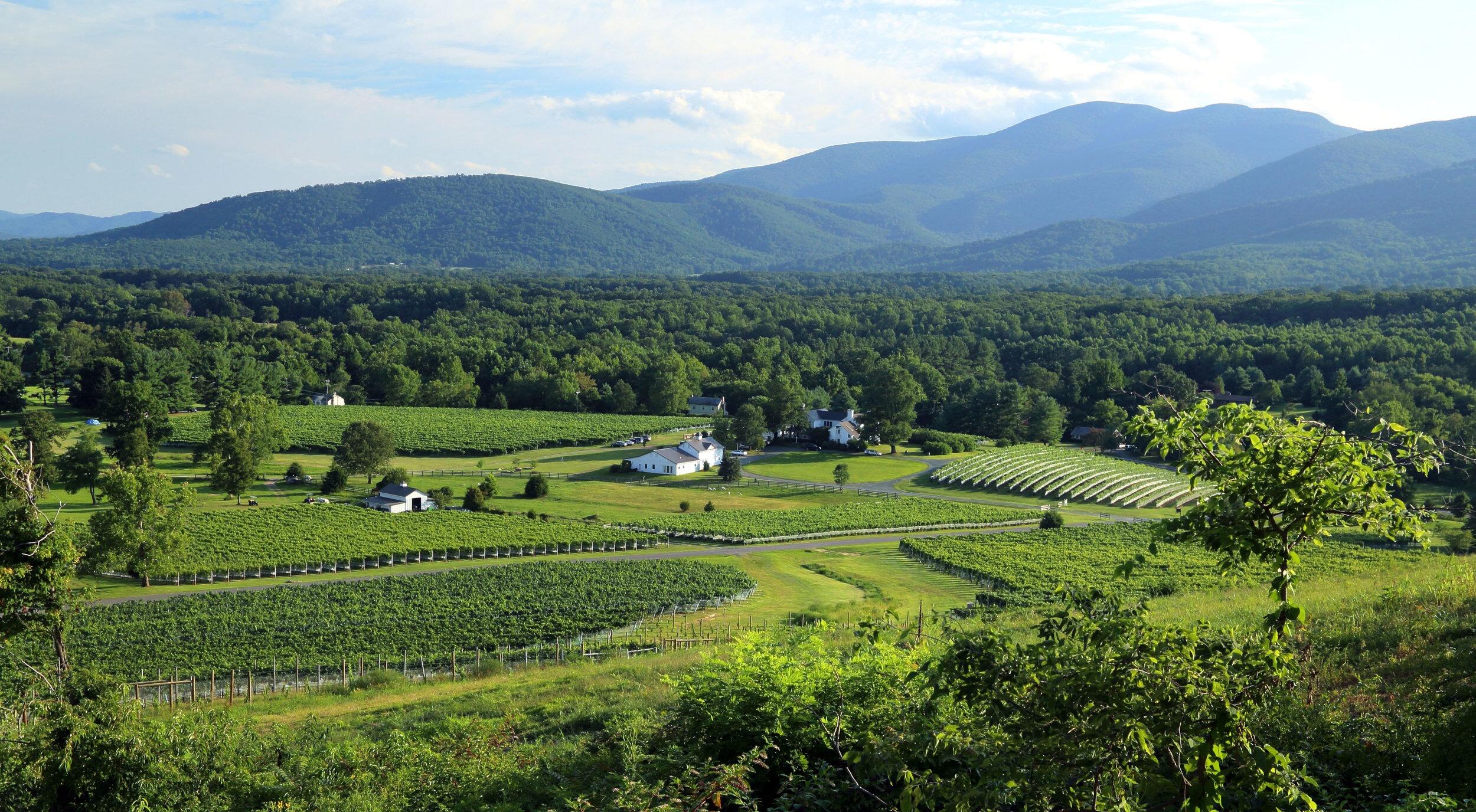 Picture of Monticello Wine Trail
