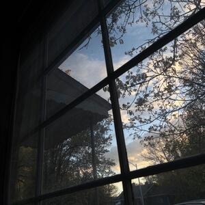 Gallery Photo 9
