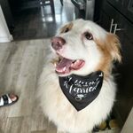 Simba