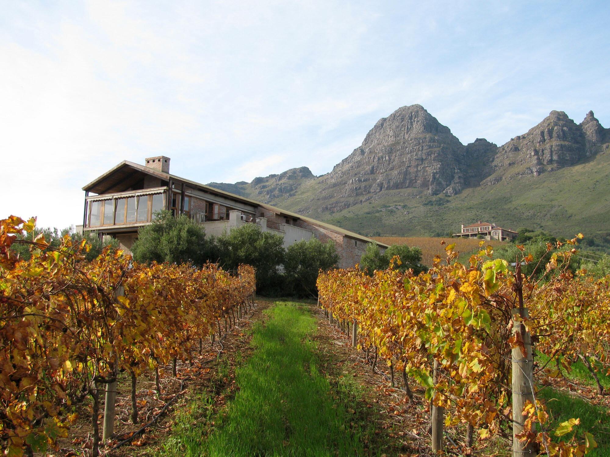 Picture of Uva Mira Mountain Vineyards