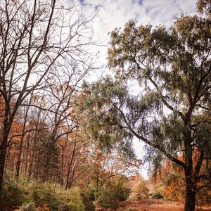 Gallery Photo 55