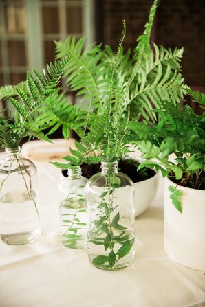 Potted Fern Centerpieces and Delicate Bud Vases