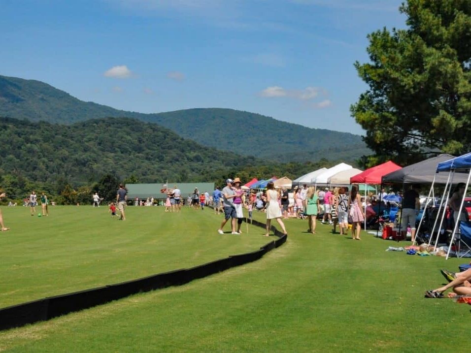 Picture of Watch a Polo Match for Free at Kings Vineyards