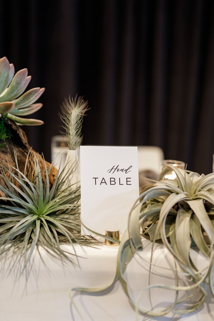 Table Number and Air Plants for Reception Decor at South Congress Hotel in Austin, Texas