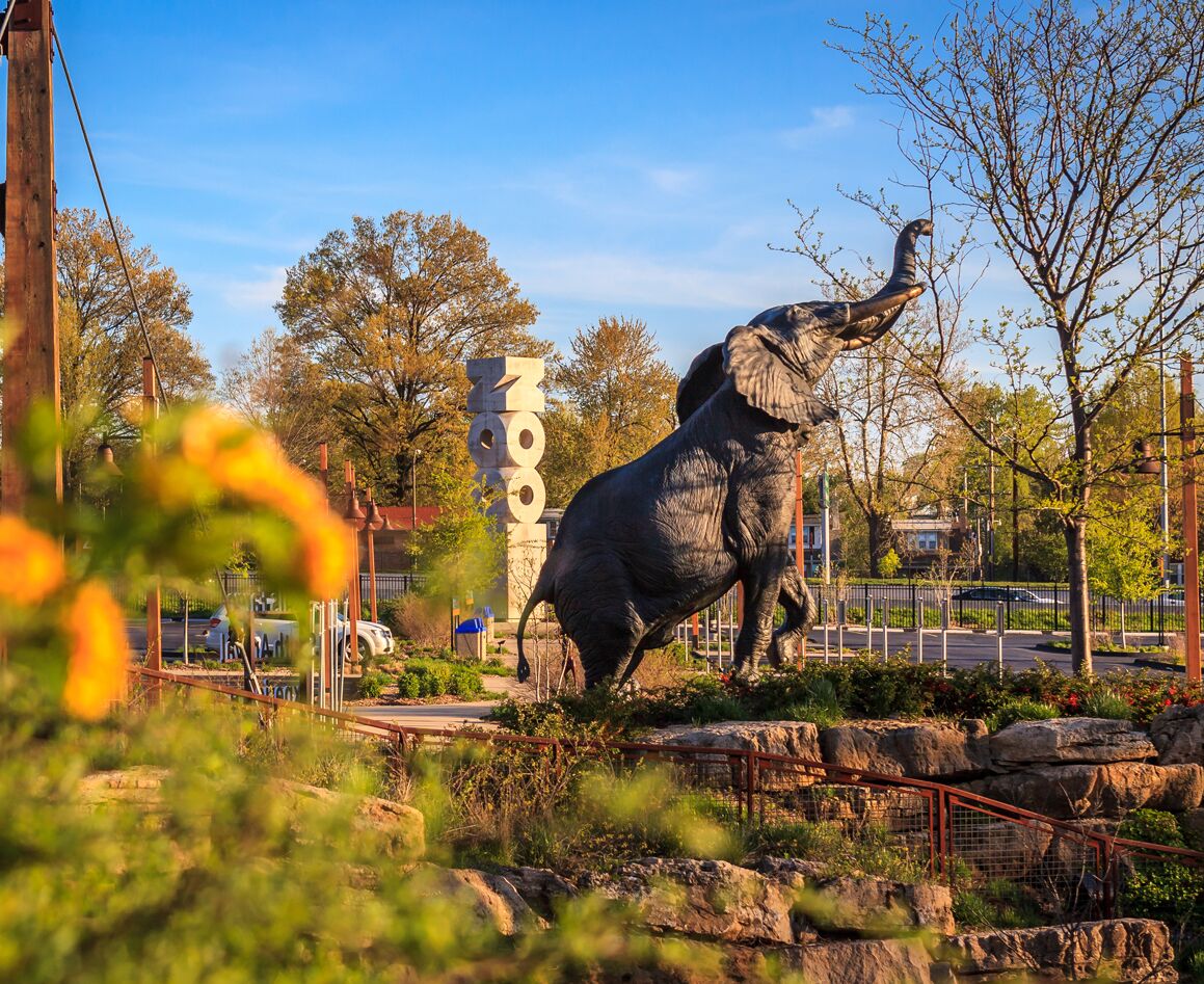 Picture of St. Louis Zoo