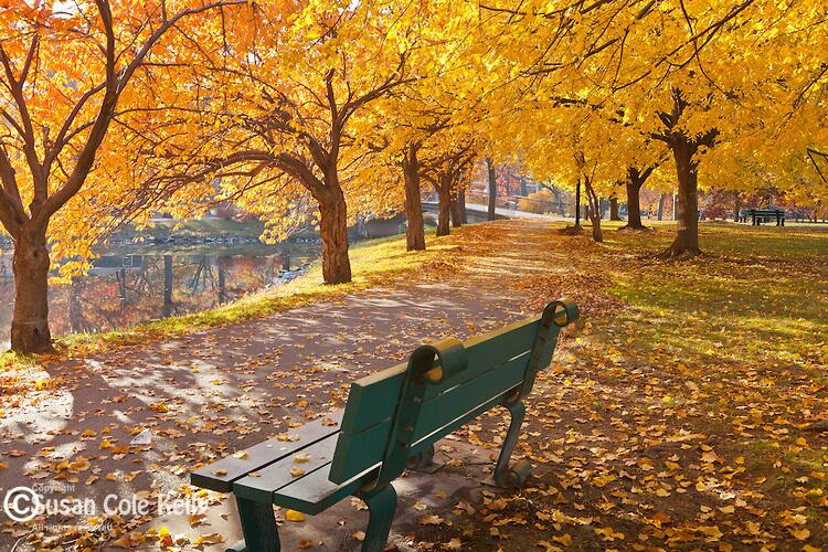 Picture of Charles River Esplanade, Boston, MA, United States