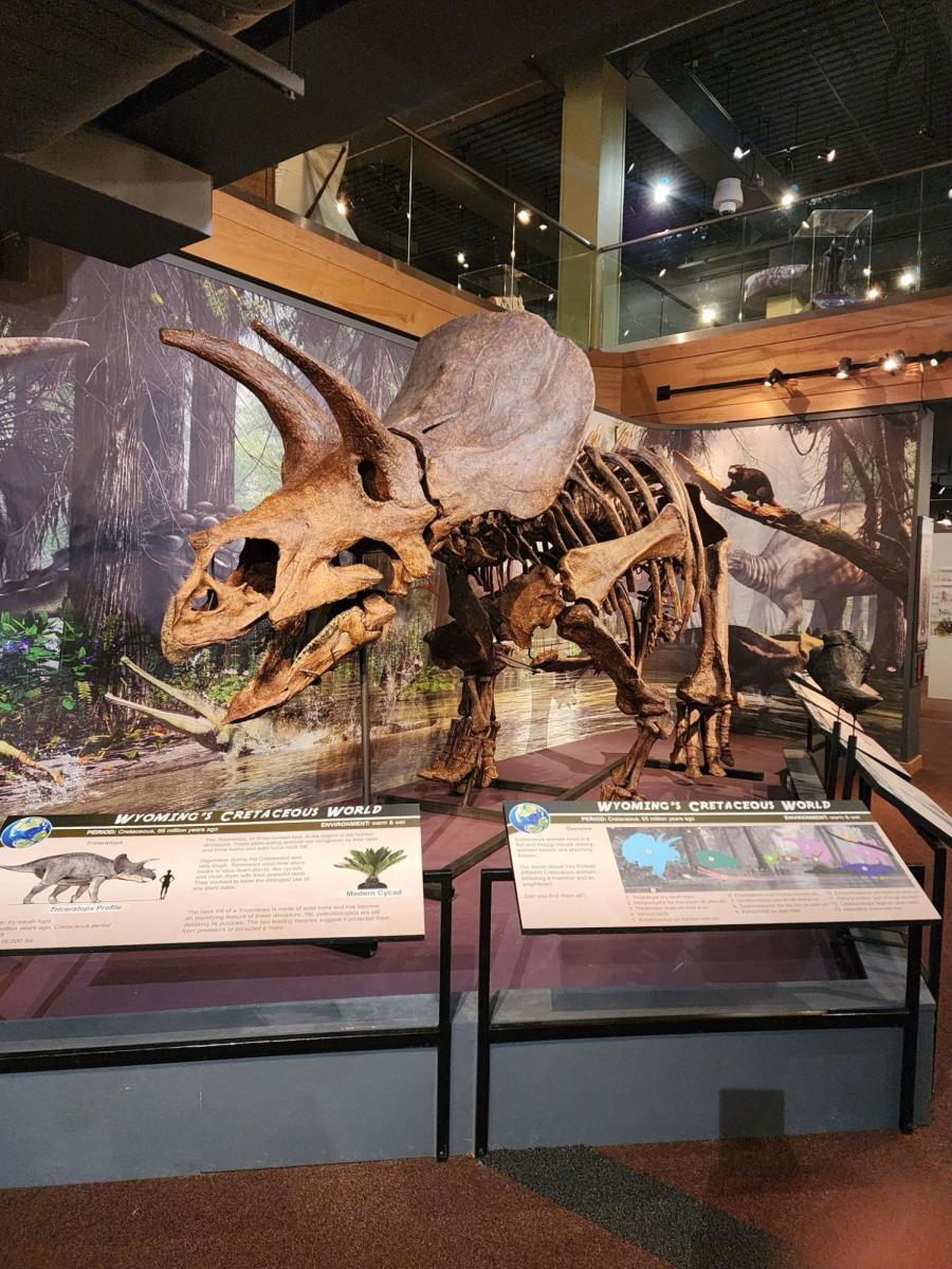 Picture of State Museum