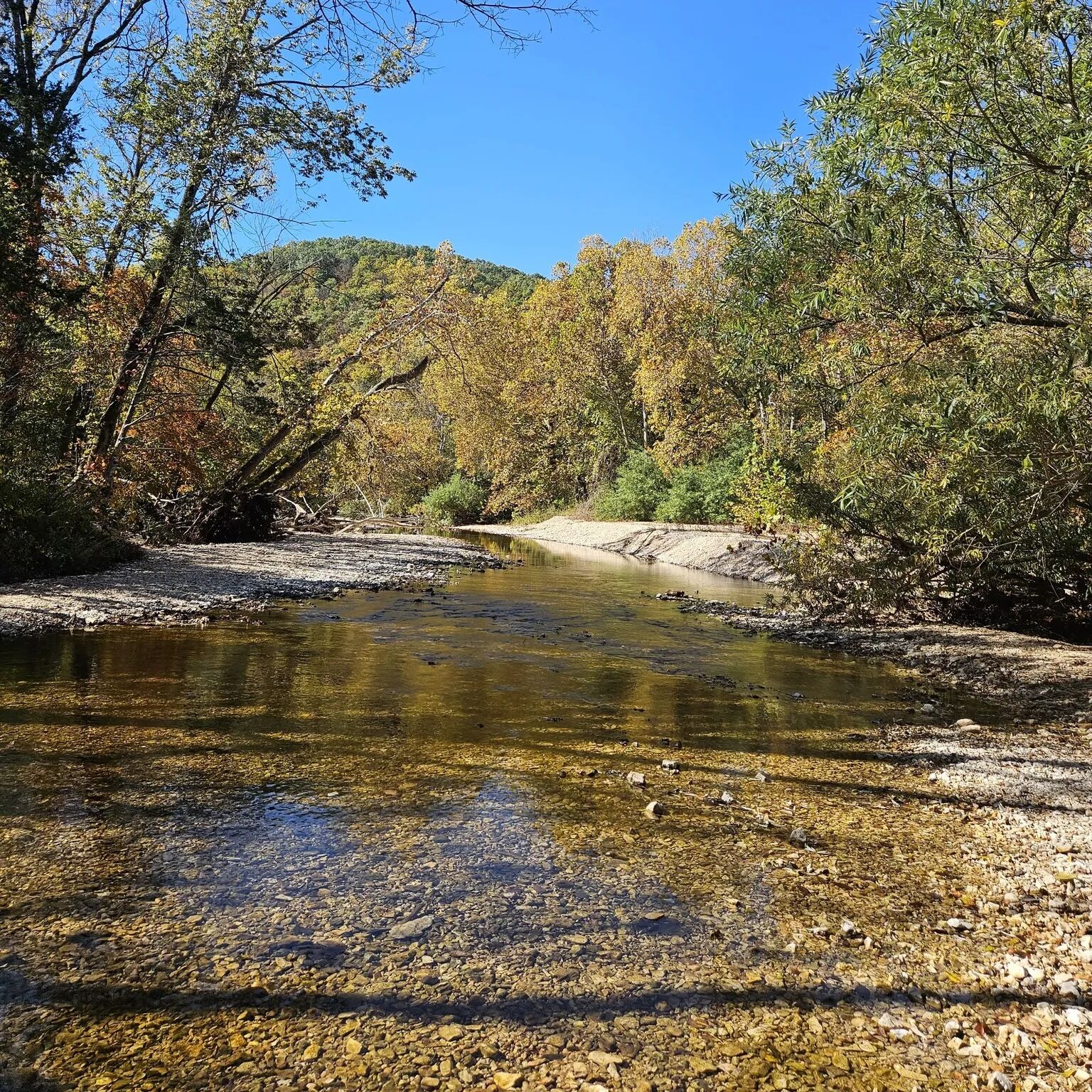 Picture of Busiek State Forest and Wildlife Area