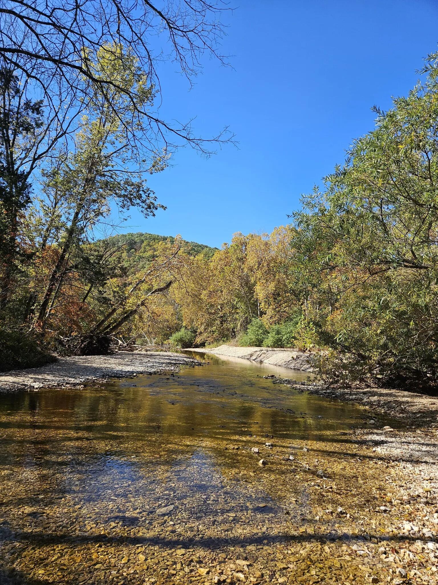 Picture of Busiek State Forest and Wildlife Area