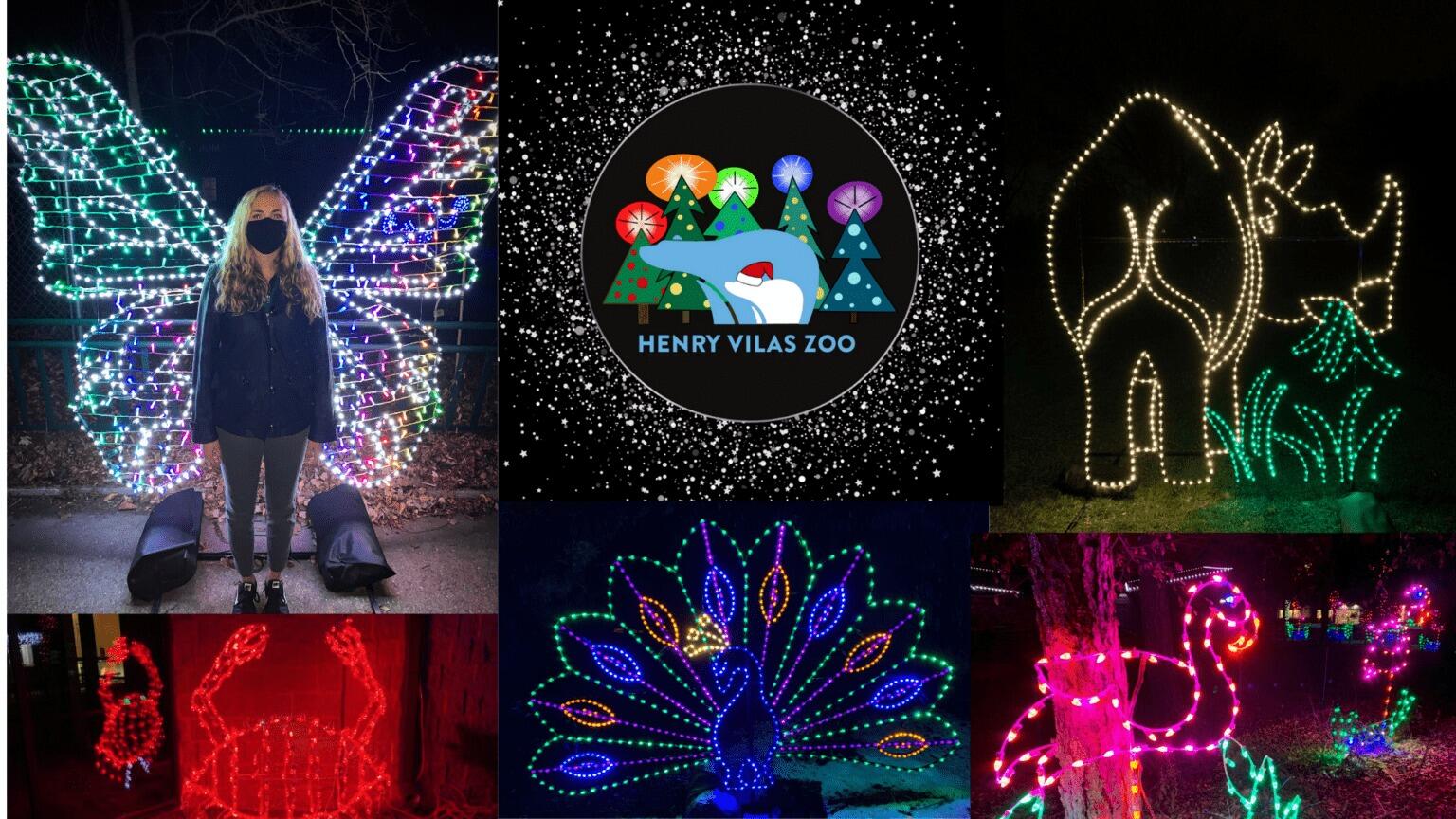 Picture of Zoo Lights - 12/06-07