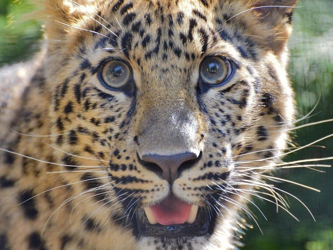 Picture of San Diego Zoo