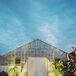 Outside of Greenhouse Reception with Spotlights
