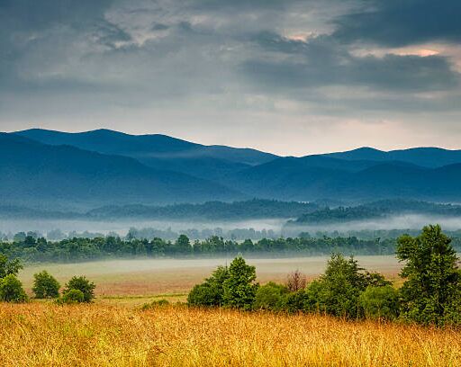 Picture of 11 mile loop with scenic views at Cades Cove