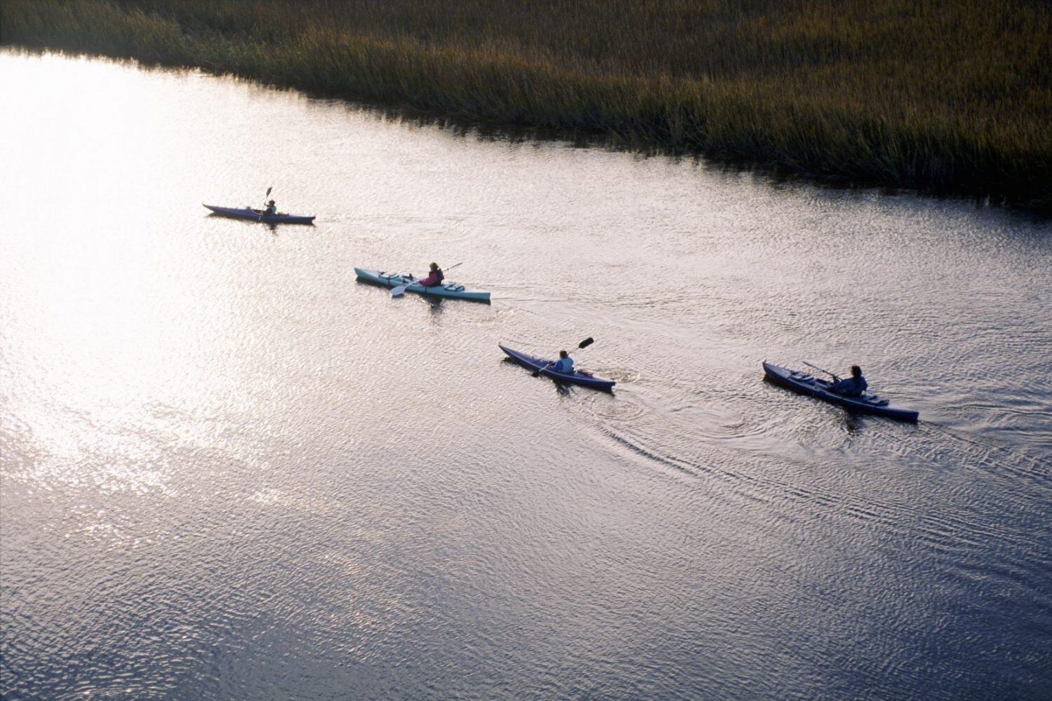 Picture of Kiawah Kayaking and Paddling Tours