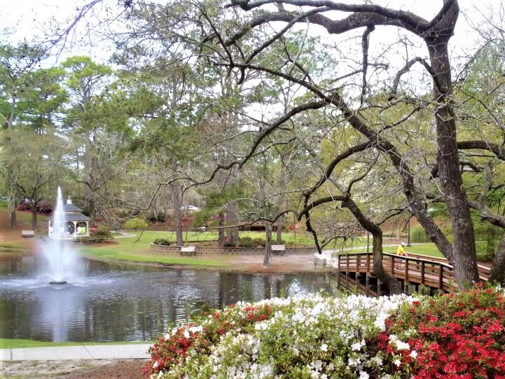 Picture of Long Leaf Park
