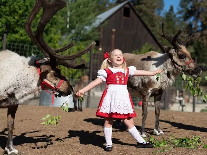 Picture of Leavenworth Reindeer Farm