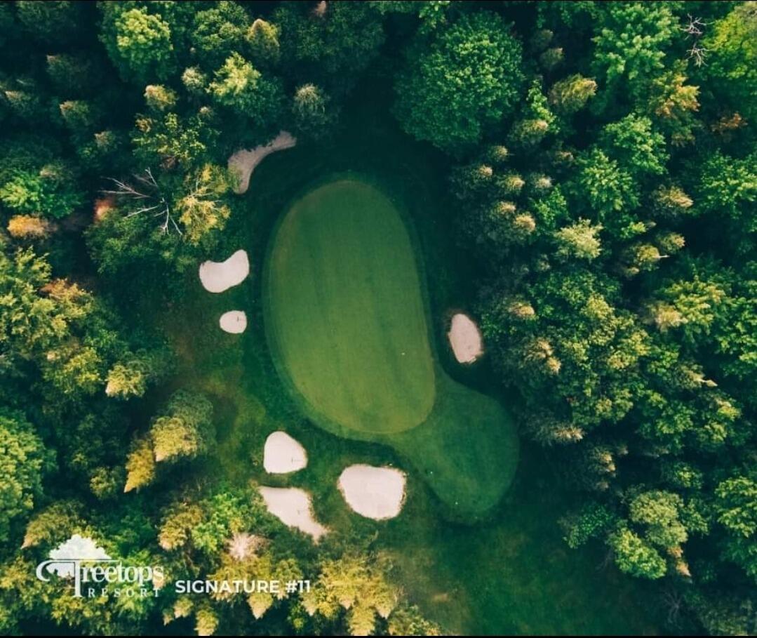 Picture of Treetops Resort
