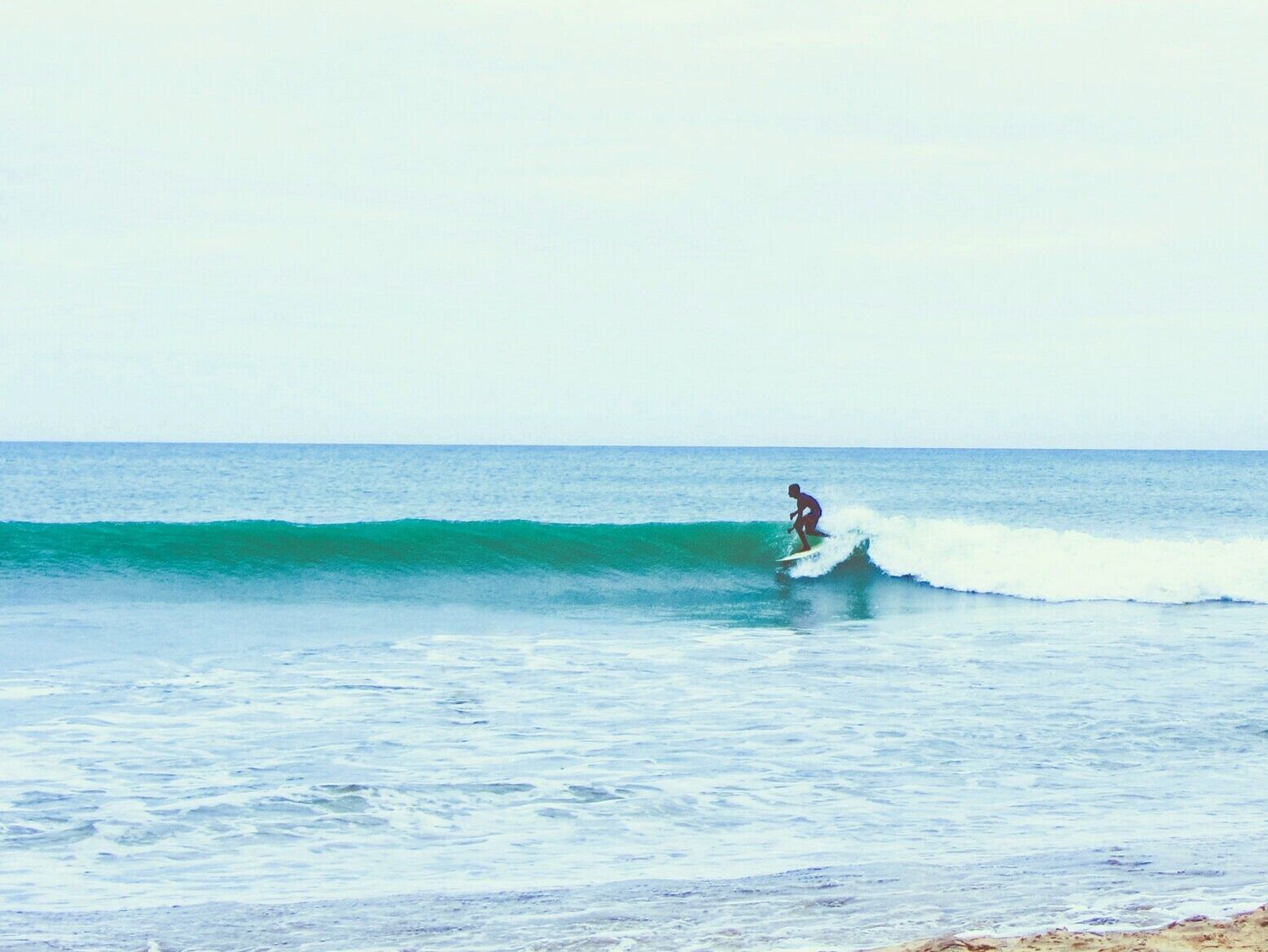 Picture of Maui Waveriders
