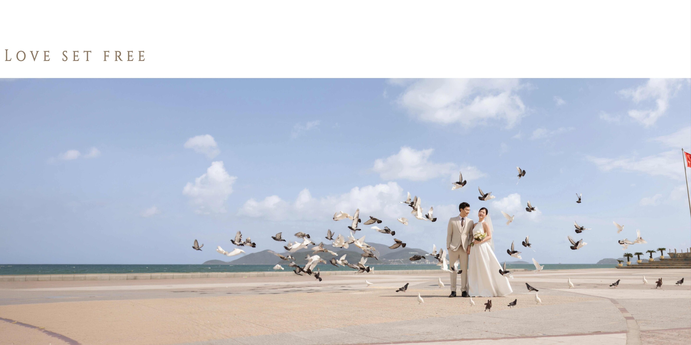 Noel & Tram Home Page Banner